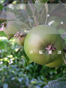 詐騙案請律師有用嗎(詐騙請律師有必要嗎)