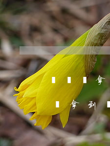 詐騙沒拿到錢的從犯怎么判(詐騙罪但是自己沒拿到錢)