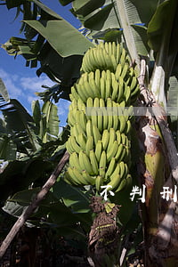 詐騙沒立案之前可以和解嗎(詐騙案和解可以不判刑么)