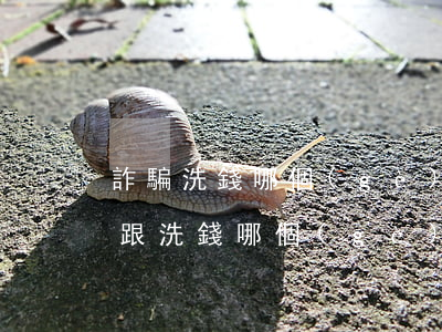 詐騙洗錢哪個(gè)嚴(yán)重(詐騙跟洗錢哪個(gè)嚴(yán)重)