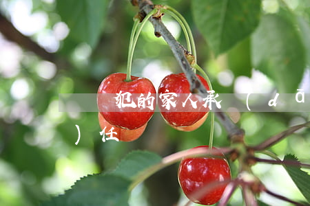 詐騙犯的家人承擔(dān)賠償責(zé)任嗎