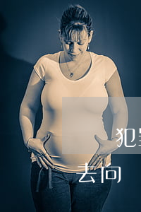 詐騙犯罪錢的流向如何查,怎么查詐騙犯錢的去向 詐騙犯罪錢的流向如何查,怎么查詐騙犯錢的去向