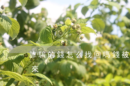 詐騙的錢怎么找回嗎(錢被騙了怎么才能找回來)