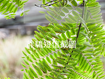 詐騙短信截圖