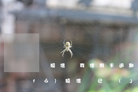 詐騙短信說我信用卡逾期(信用卡逾期了發(fā)短信說已經(jīng)定罪了是真是假)