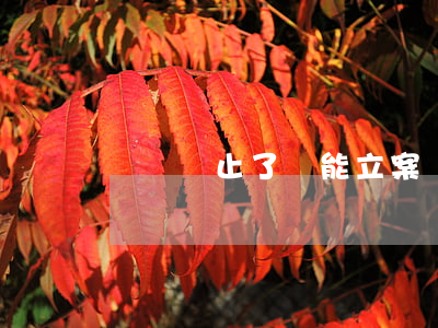 詐騙終止了還能立案嗎(詐騙立案之前全部退還)