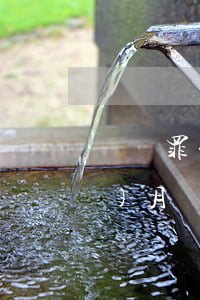 詐騙罪一般多久開庭(詐騙罪最晚幾個(gè)月開庭)