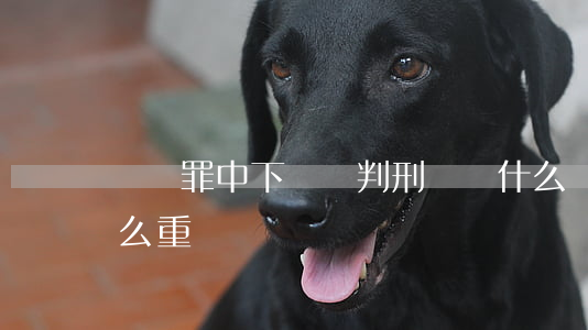 詐騙罪中下線會判刑嗎(為什么詐騙罪判刑那么重)
