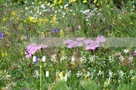 詐騙罪刑事拘留一般多少天可以放出來(詐騙案從拘留到判刑要多久)