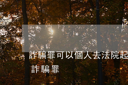 詐騙罪可以個人去法院起訴嗎(怎么起訴別人詐騙罪)