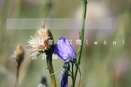 詐騙罪可以問(wèn)法院起訴嗎(如何起訴詐騙罪)