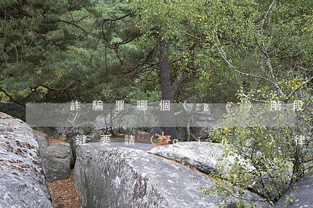 詐騙罪哪個(gè)階段最關(guān)鍵要請(qǐng)律師(詐騙罪概念和構(gòu)成要件)