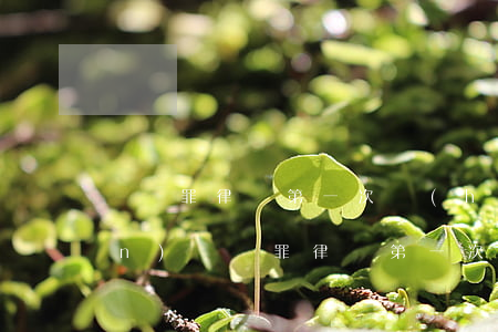 詐騙罪律師第一次會(huì)見(jiàn)(詐騙罪律師第一次會(huì)見(jiàn)筆錄范本)