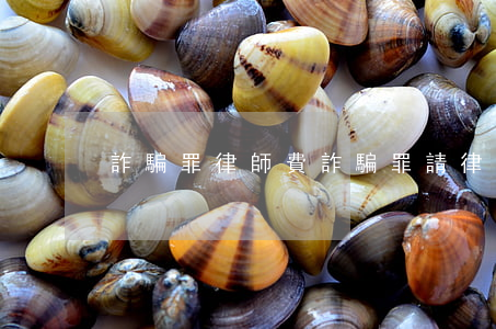 詐騙罪 律師費(詐騙罪請律師費)