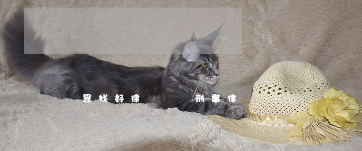詐騙罪找好律師(詐騙刑事律師)