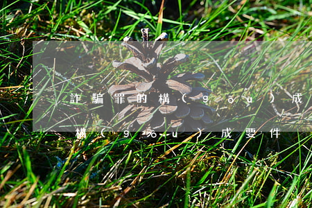 詐騙罪的構(gòu)成要件(金融詐騙罪的構(gòu)成要件)