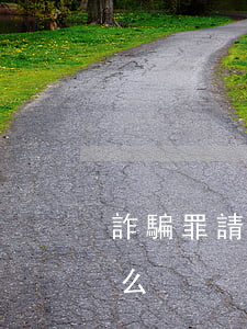 詐騙罪請什么律師好(詐騙罪找律師要注意什么)