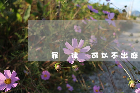 詐騙罪請律師可以不出庭嗎(詐騙案需要請律師嗎)