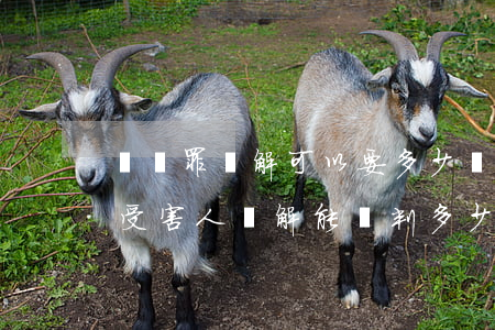 詐騙罪諒解可以要多少錢(qián)(詐騙受害人諒解能輕判多少)