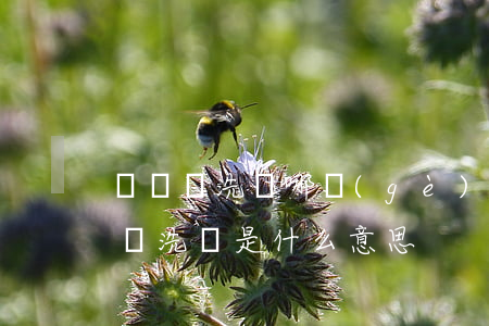 詐騙與洗錢哪個(gè)嚴(yán)重(詐騙洗錢是什么意思)