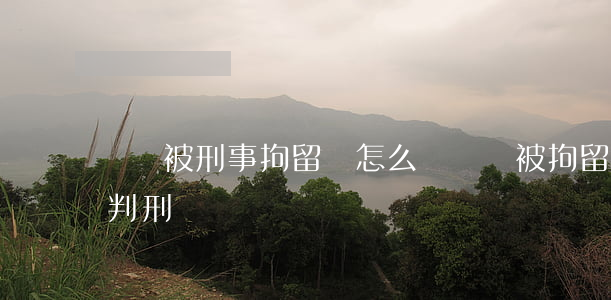 詐騙被刑事拘留會怎么樣(詐騙被拘留多久會判刑)