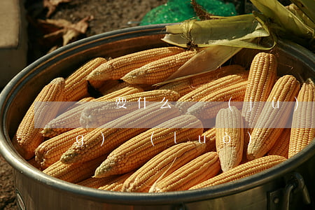 詐騙要什么證據(jù)才立案(網(wǎng)絡(luò)詐騙要什么證據(jù)才立案)