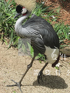 詐騙要什么證據(jù)才立案(詐騙案立案需要什么證據(jù))