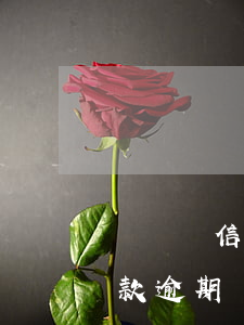 詐騙說信用卡逾期還款(詐騙短信說信用卡欠款逾期)