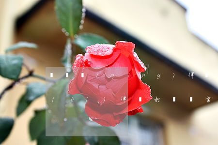 詐騙請(qǐng)律師打官司如何收費(fèi)，律師打詐騙官司要多少錢