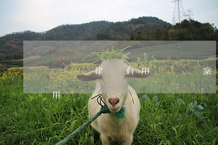 詐騙請律師有用嗎(詐騙案律師能起到多大作用)
