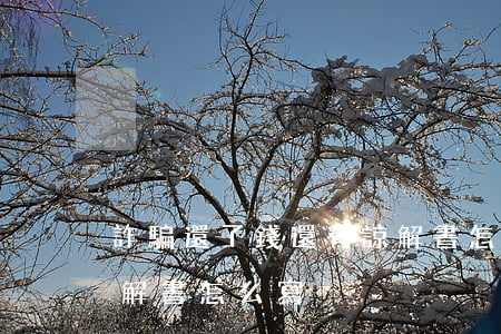 詐騙還了錢還有諒解書怎么寫(對詐騙罪的諒解書怎么寫)
