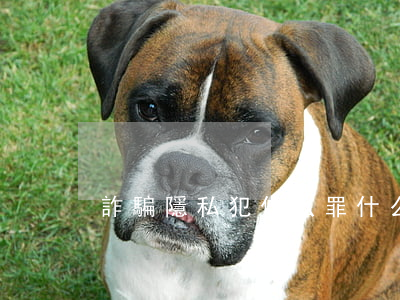 詐騙隱私犯什么罪(什么算詐騙罪)