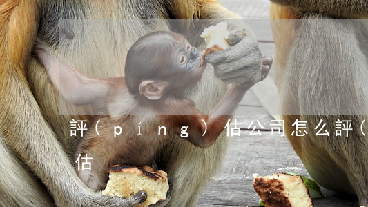 評(píng)估公司怎么評(píng)估