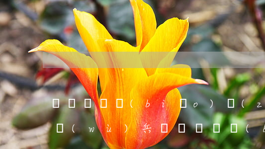 評殘賠償標(biāo)準(zhǔn)(義務(wù)兵評殘賠償標(biāo)準(zhǔn))