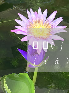 詢價(jià)函怎么寫(xiě)(詢價(jià)函的基本寫(xiě)作格式)