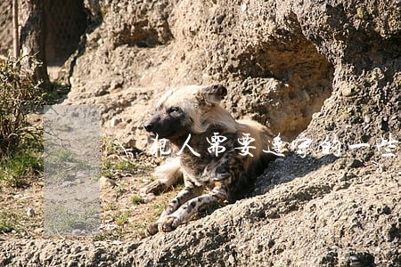 詢問犯人需要遵守的一些規(guī)定