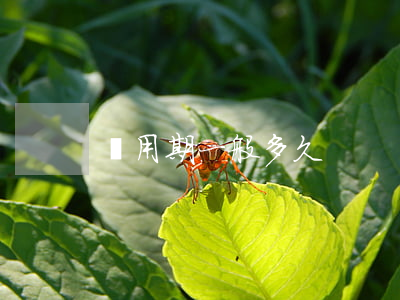 試用期一般多久