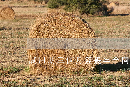 試用期三個月簽幾年合同