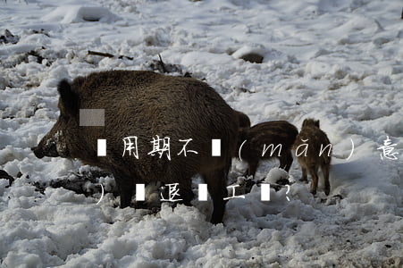 試用期不滿(mǎn)意可以隨時(shí)辭退員工嗎？