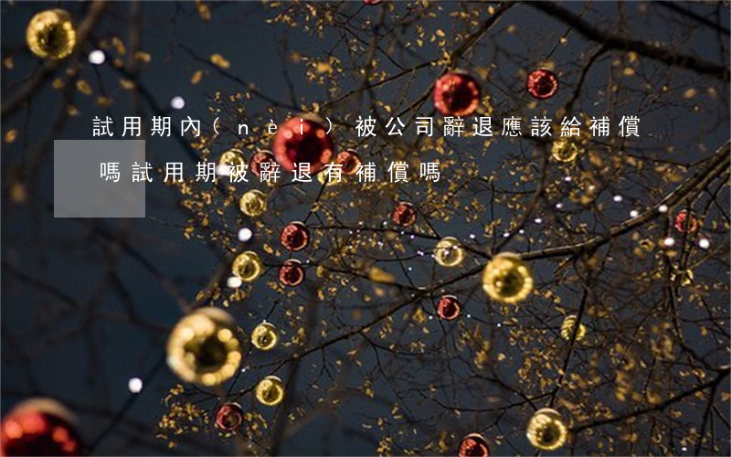 試用期內(nèi)被公司辭退應該給補償嗎（試用期被辭退有補償嗎）