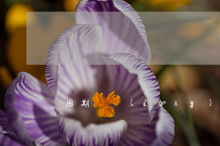 試用期勞動(dòng)合同怎么解除