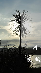 試用期勞動合同范本(試用期試用期勞動合同模板)
