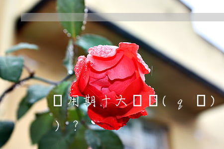 試用期十大誤區(qū)，你中了幾個(gè)？