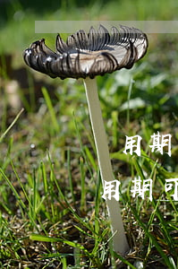 試用期可以隨時辭職嗎(勞務(wù)派遣試用期可以隨時辭職嗎)