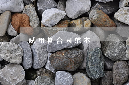 試用期合同范本
