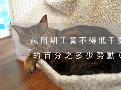 試用期工資不得低于勞動(dòng)合同的百分之多少(勞動(dòng)法規(guī)定試用期工資不能低于)