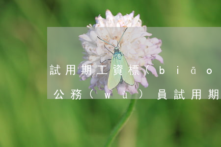 試用期工資標(biāo)準(zhǔn)(公務(wù)員試用期工資標(biāo)準(zhǔn))
