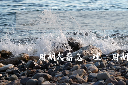 試用期欠薪怎處理?（試用期員工信用卡逾期）