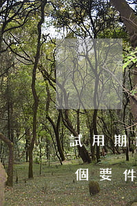試用期，解除勞動合同應(yīng)符合4個要件