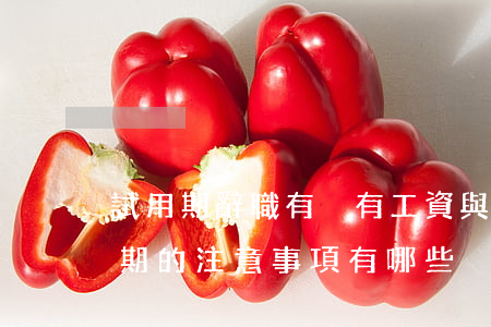 試用期辭職有沒有工資,與用人單位約定試用期的注意事項有哪些